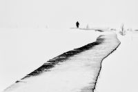 Winterwalk - Norbert Liebertz